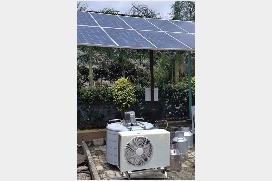 Solar milk cooler